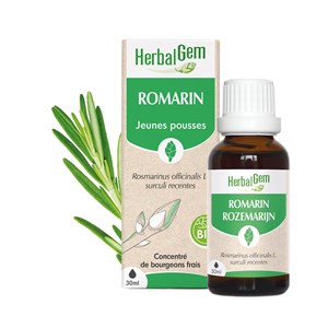 Herbalgem - bourgeon de romarin - bio