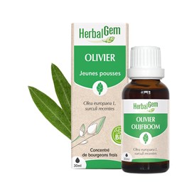 Herbalgem - bourgeon d'olivier - bio