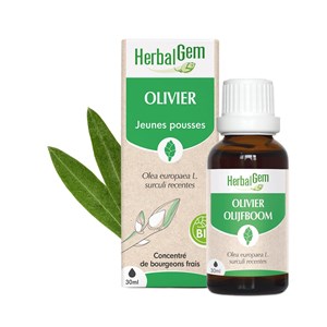 Herbalgem - bourgeon d'olivier - bio