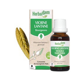 Herbalgem - bourgeon de viorne lantane - bio