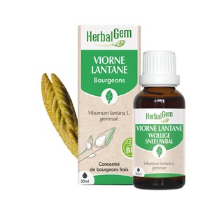 Herbalgem - bourgeon de viorne lantane - bio