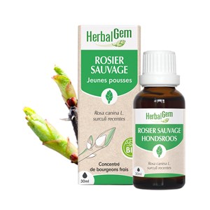 Herbalgem - bourgeon de rosier sauvage - bio