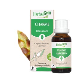 Herbalgem - bourgeon de charme - bio