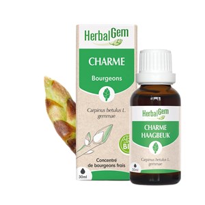 Herbalgem - bourgeon de charme - bio
