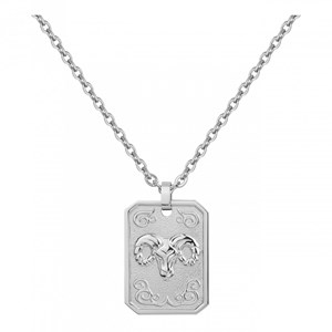 Collier zodiaque bélier argent en acier 316l