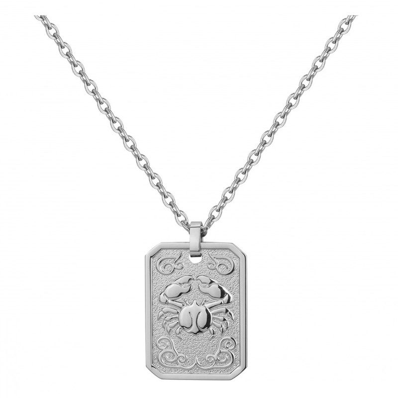 Collier zodiaque cancer argent en acier 316l