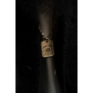 Collier zodiaque cancer doré en acier 316l