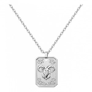 Collier zodiaque capricorne argent en acier 316l