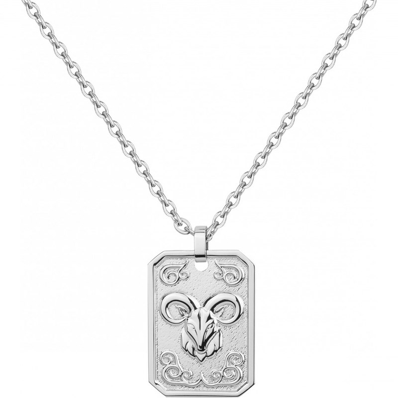 Phébus Bijoux - Collier zodiaque capricorne argent en acier 316l