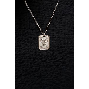 Collier zodiaque capricorne argent en acier 316l