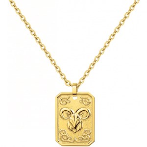 Collier zodiaque capricorne doré en acier 316l