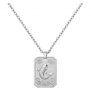 Collier zodiaque poisson argent en acier 316l
