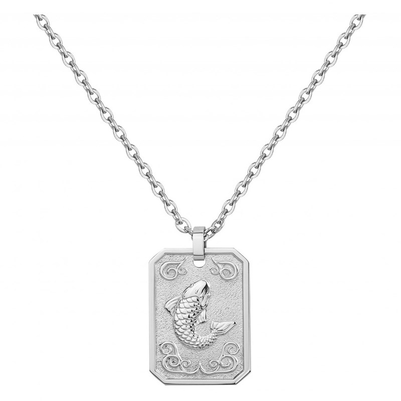 Collier zodiaque poisson argent en acier 316l