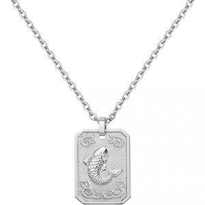 Collier zodiaque poisson argent en acier 316l