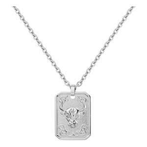 Collier zodiaque taureau argent en acier 316l