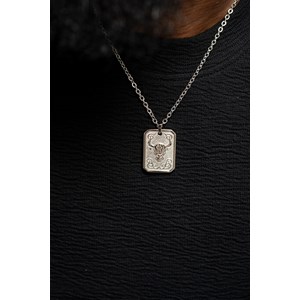 Collier zodiaque taureau argent en acier 316l