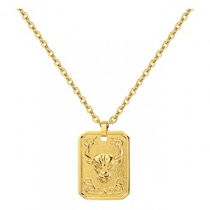 Collier jawad en acier 316l