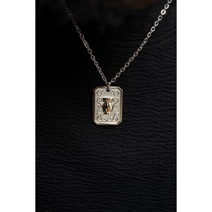 Collier zodiaque verseau argent en acier 316l