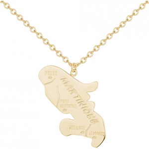 Collier orion en acier