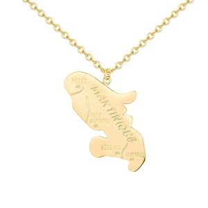 Collier martinique doré en acier