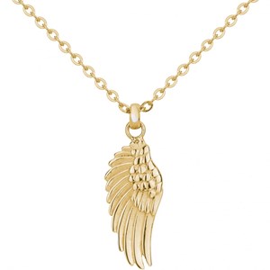 Collier coliier aile doré en acier