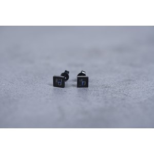 Boucles d'oreilles clous cédric en acier 316l