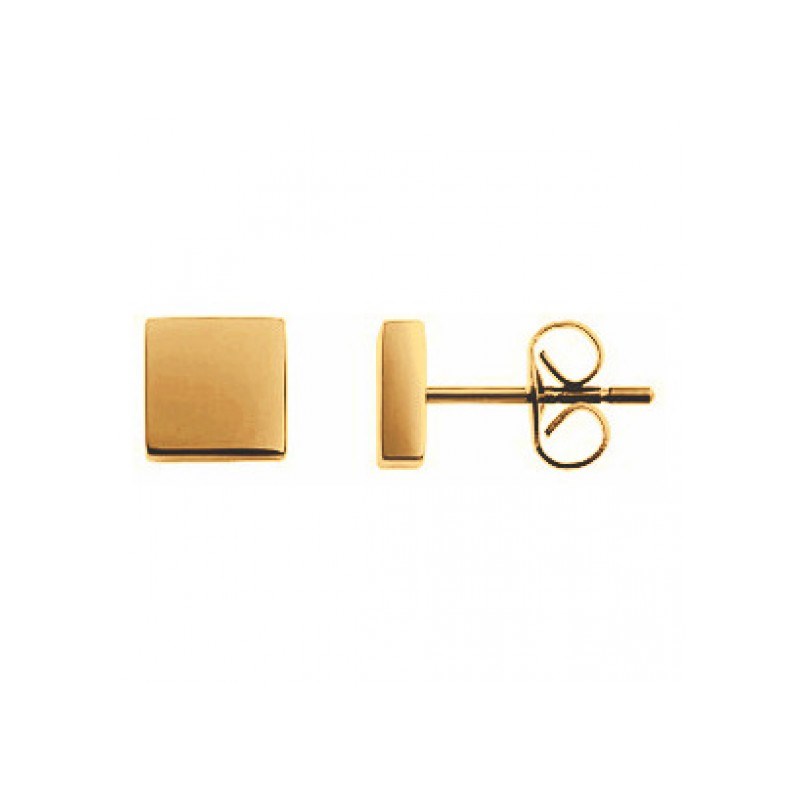 Phébus Bijoux - Boucles d'oreilles clous diogu en acier 316l