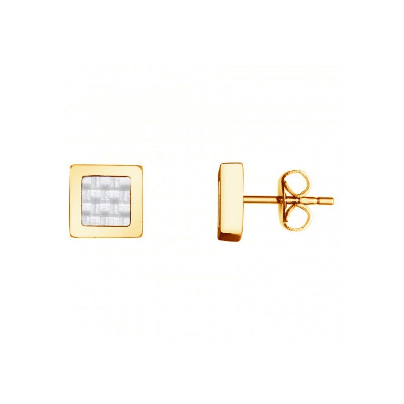 Phébus Bijoux - Boucles d'oreilles clous cédric en acier 316l