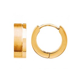 Créoles diego en acier 316l