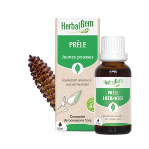 Herbalgem - bourgeon de prêle - bio