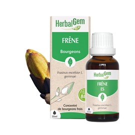Herbalgem - bourgeon de frêne - bio