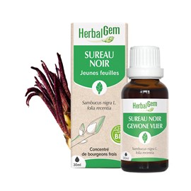 Herbalgem - bourgeon de sureau noir - bio