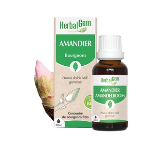 Herbalgem - bourgeon d'amandier - bio