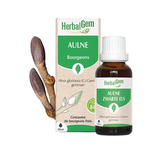 Herbalgem - bourgeon d'aulne - bio