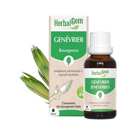 Herbalgem - bourgeon de genévrier - bio