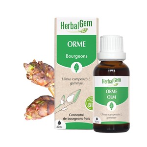 Herbalgem - bourgeon d'orme - bio