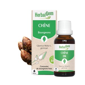 Herbalgem - bourgeon de chêne - bio