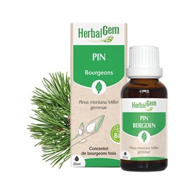 Herbalgem - bourgeon de pin - bio