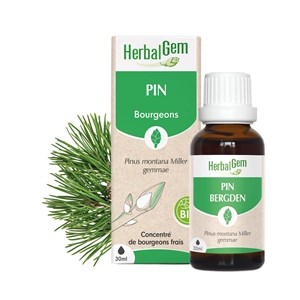 Herbalgem - bourgeon de pin - bio