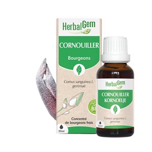 Herbalgem - bourgeon de cornouiller - bio