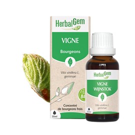 Herbalgem - bourgeon de vigne - bio