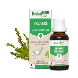 Herbalgem - bourgeon de bruyère - bio