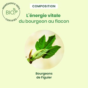 Herbalgem - bourgeon de figuier - bio
