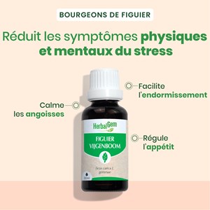 Herbalgem - bourgeon de figuier - bio