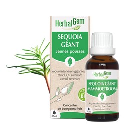 Herbalgem - bourgeon de séquoia géant - bio