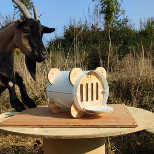 Abri à papillons papill’home