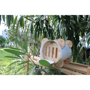 Abri à papillons papill’home