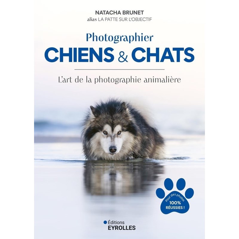 Photographier chiens et chats