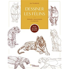 Dessiner les félins