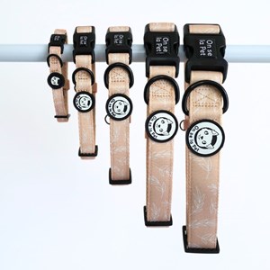 Collier pour chien rembourré et résistant - beige tropical - taille m